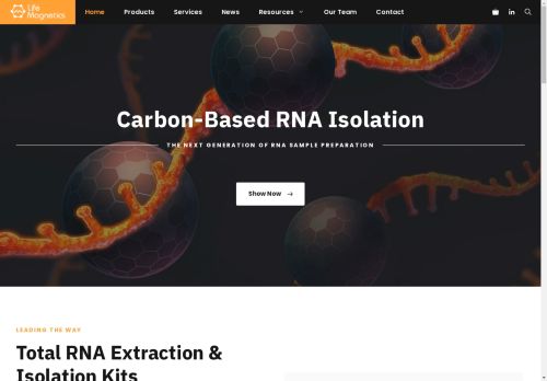 magnetics.life capture - 2025-05-02 01:39:26