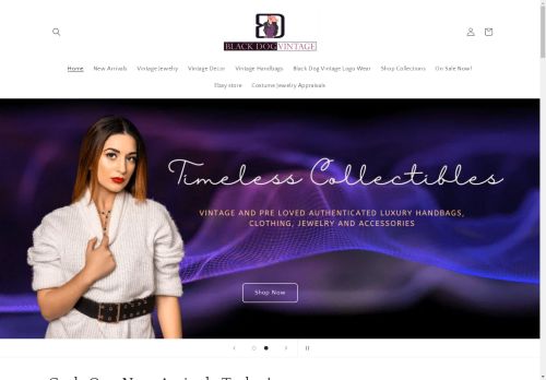 blackdogvintagemi.com capture - 2025-05-02 03:51:08