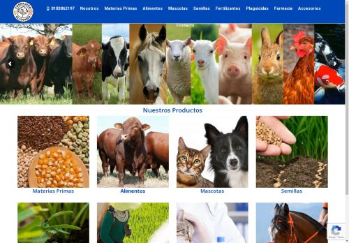 forrajeraelizondo.com capture - 2025-05-02 05:25:00