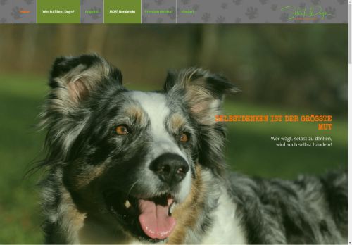 silentdogs.com capture - 2025-05-02 09:55:12