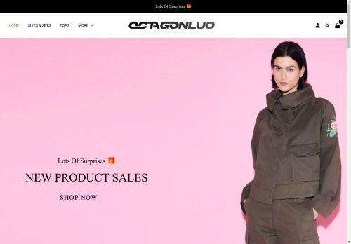 octagonluo.com capture - 2025-05-02 10:56:38