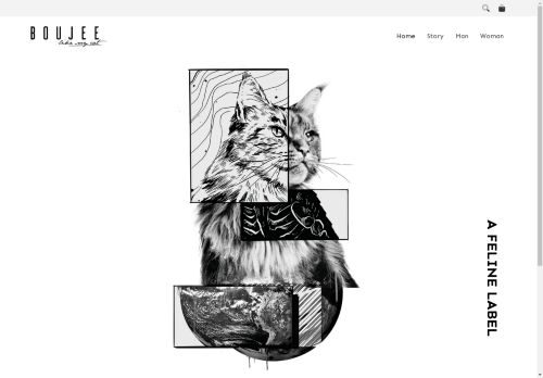 boujeelikemycat.com capture - 2025-05-02 12:07:49