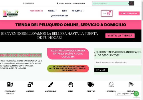 tecnoestilos.com capture - 2025-05-02 12:09:56