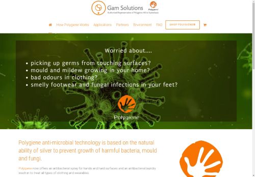 gamsolutions.com capture - 2025-05-03 06:10:23