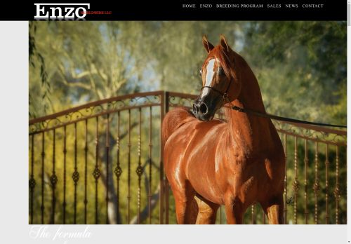 enzoltd.com capture - 2025-05-03 06:32:10