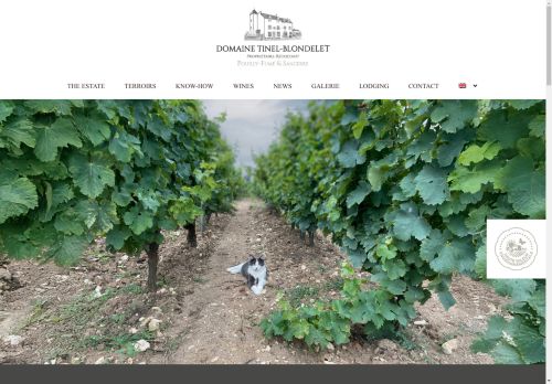 tinel-blondelet.com capture - 2025-05-03 13:09:39