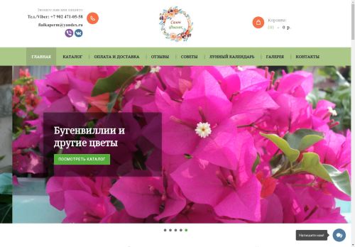 xn----7sbb5alcdmify5b.xn--p1ai capture - 2025-05-03 15:45:52