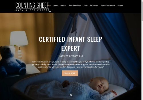 countingsheepsleep.com capture - 2025-05-03 21:02:36