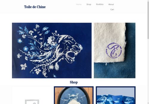 toiledechine.com capture - 2025-05-03 21:16:18