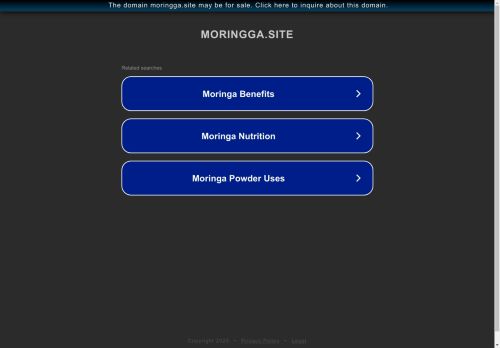 moringga.site capture - 2025-05-04 00:46:42