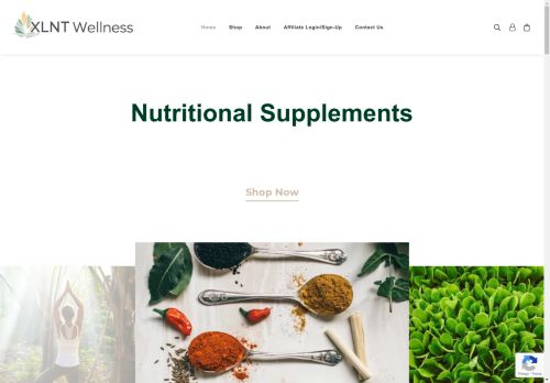 XLNT Wellness capture - 2025-05-04 00:59:39