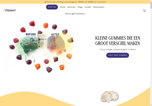 VGNMY capture - 2025-05-04 01:00:58