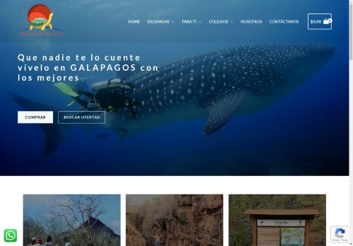 islasdefuego.com capture - 2025-05-04 01:56:40