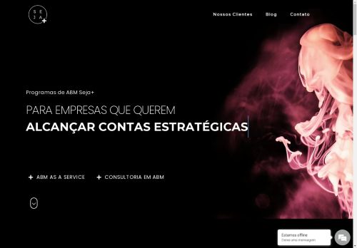 agenciaseja.digital capture - 2025-05-04 02:33:05