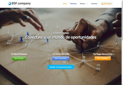 bsf.company capture - 2025-05-04 03:08:55