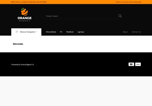 bagcomputer.com capture - 2025-05-04 04:48:47