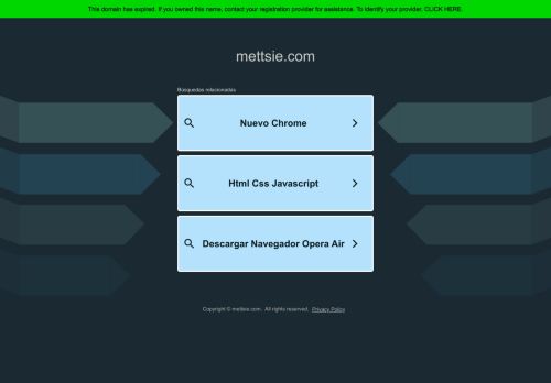 mettsie.com capture - 2025-05-04 06:02:44