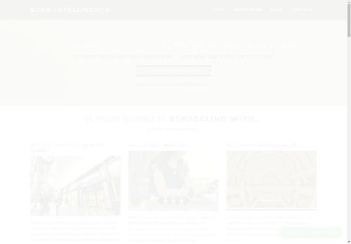 bornintelligence.com capture - 2025-05-04 07:46:42