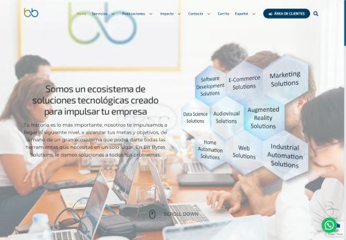 bitbytes.solutions capture - 2025-05-04 09:32:51