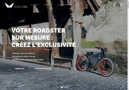 avianbike.com capture - 2025-05-04 16:01:05