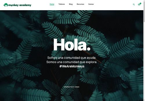 monkey.academy capture - 2025-05-04 16:49:10