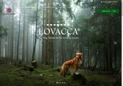 terra-kobo.com capture - 2025-05-04 18:17:33