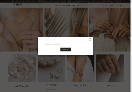 lillyandcoshop.com capture - 2025-05-04 22:02:42