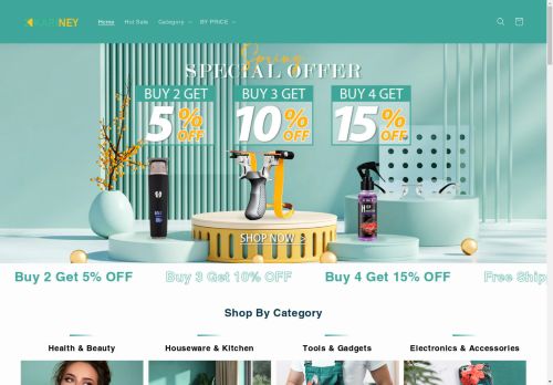 kariney.com capture - 2025-05-04 23:03:47