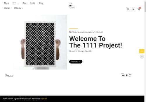 the1111project.com capture - 2025-05-05 00:26:20