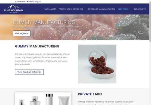 bluemfg.com capture - 2025-05-05 02:38:04