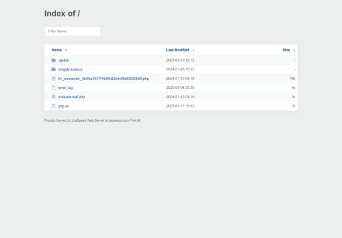 belaways.com capture - 2025-05-05 03:10:17
