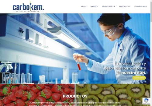 carbokem.com capture - 2025-05-05 03:25:21