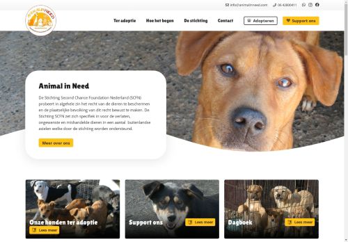 animalinneed.com capture - 2025-05-05 04:58:26