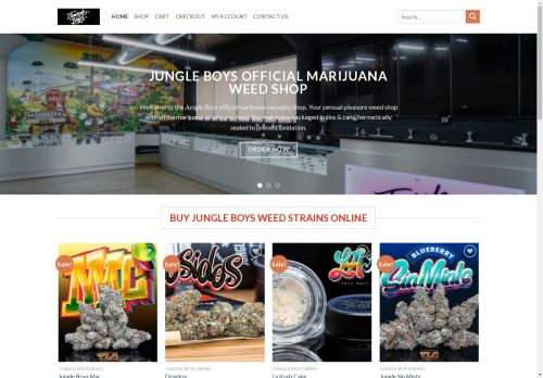 jungleboyscity.com capture - 2025-05-05 10:29:34