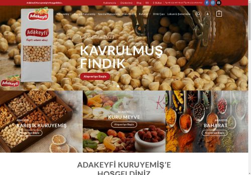 adakeyfi.com capture - 2025-05-05 11:02:10