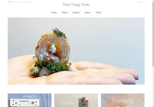 danayoungstudio.com capture - 2025-05-05 11:06:59