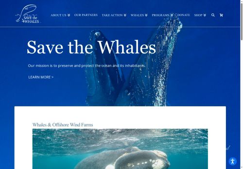 savethewhales.education capture - 2025-05-05 17:25:38