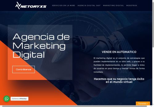 netoryxs.com capture - 2025-05-05 18:48:13