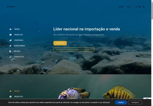 wfporto.com capture - 2025-05-05 23:24:07