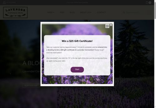 lavenderconnection.com capture - 2025-05-06 00:42:12
