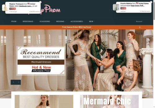 sassymyprom.com capture - 2025-05-06 06:17:24