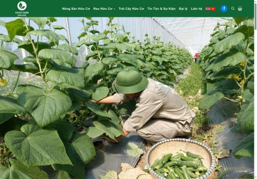 chapifarm.com capture - 2025-05-06 08:27:28