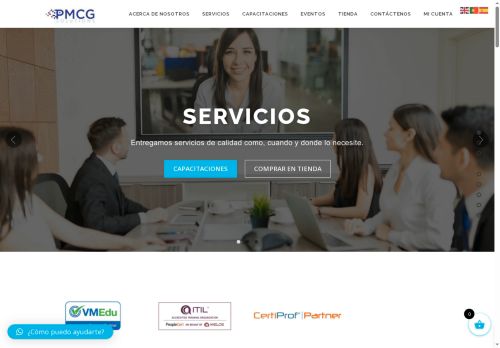 pmcgsolutions.com capture - 2025-05-06 09:57:16