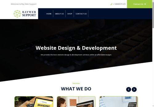 raywebsupport.com capture - 2025-05-06 10:14:36