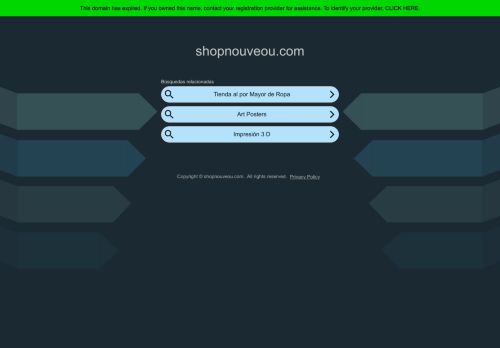 shopnouveou.com capture - 2025-05-06 12:41:49