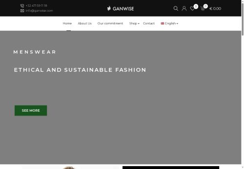 ganwise.com capture - 2025-05-06 17:39:14