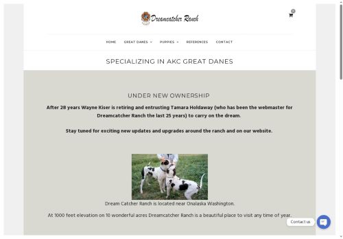 dreamcatcherdanes.com capture - 2025-05-06 18:34:57