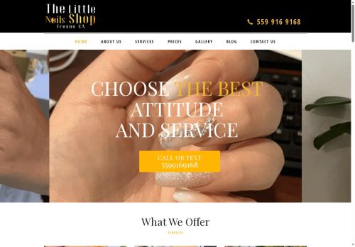 thelittlenailshopfresnoca.com capture - 2025-05-06 21:47:23