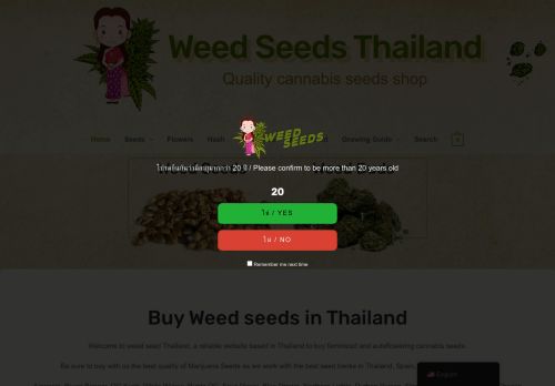 weedseedthailand.com capture - 2025-05-07 07:54:53