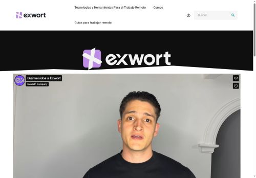 exwort.com capture - 2025-05-07 11:02:15